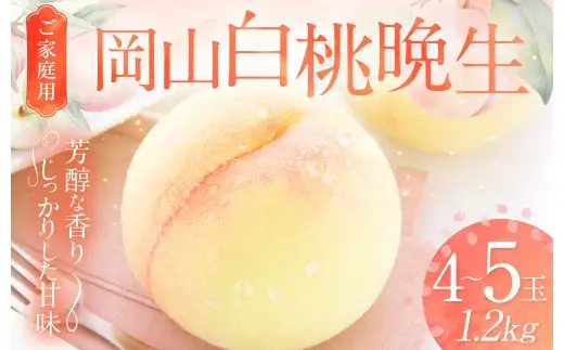 【ご家庭用】 岡山白桃 晩生 4～5玉 計約1.2kg 【2026年8月下旬発送予定】 ／ 白桃 桃 もも モモ