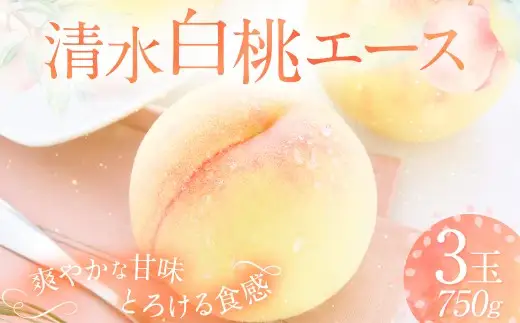 清水白桃 エース 3玉 約750g 【2026年7月上旬～7月下旬発送予定】 ／ 白桃 桃 もも モモ
