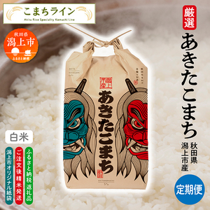 《令和7年産》【6か月定期便】《白米》あきたこまち なまはげ 米袋 米 10kg×6回 一等米 ギフト パッケージ 限定デザイン 紙袋 リメイク 工作 お面 こども お土産 秋田 潟上市 【こまちライン】