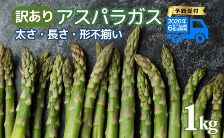 先行予約 訳あり アスパラガス 1kg 令和8年産 アスパラ アスパラ アスパラ アスパラ アスパラ アスパラ アスパラ JA002_01