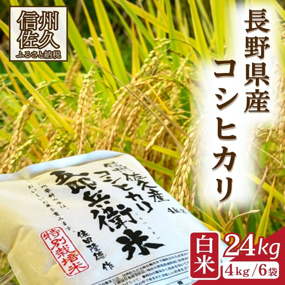 【令和8年産・白米24kg（4kg×6袋）】 特別栽培米　五郎兵衛米 〈2026年10月中旬頃～順次発送〉 先行予約　新米　信州　こしひかり【 米 コメ 白米 精米 お米 こめ おこめ 予約 備蓄品 コシヒカリ 長野県 佐久市 】