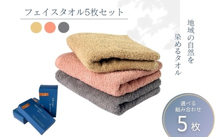 フェイスタオル 5枚 ベージュ 天然加工 今治産 今治産タオル 地域の自然を染めるタオル 河上工芸所｜D46-b