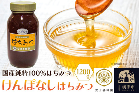 けんぽなしはちみつ 1200g