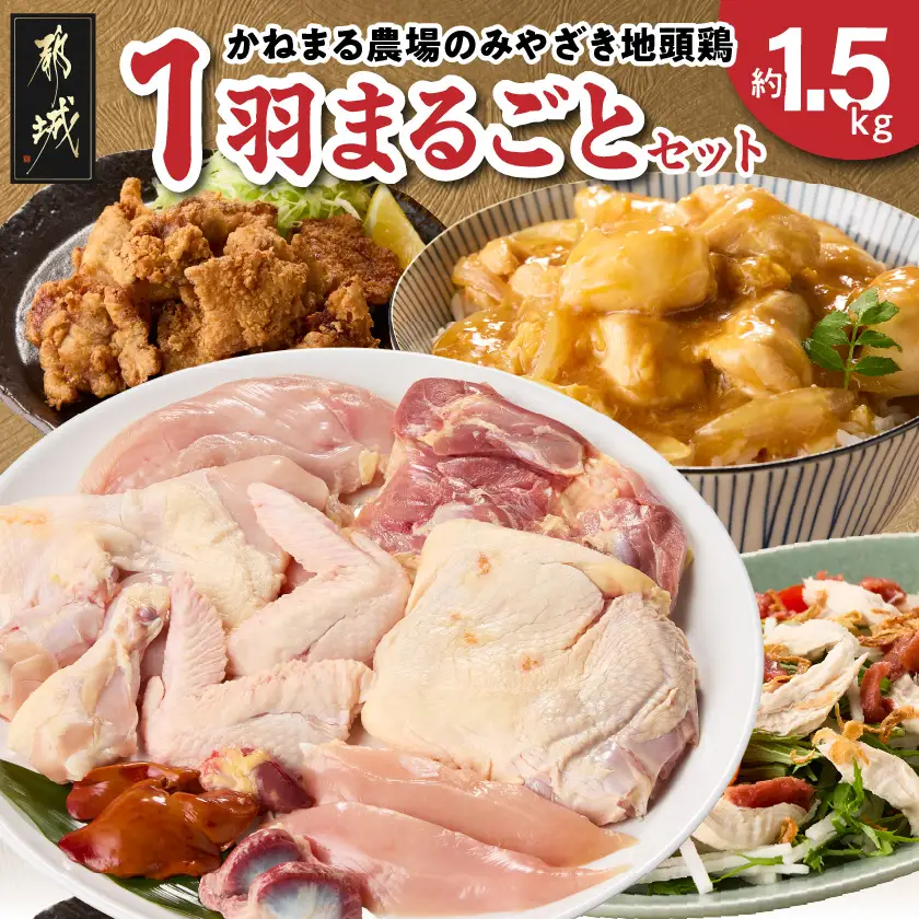 かねまる農場のみやざき地頭鶏1羽まるごとセット〔17-J7-009〕_(都城市) 真空パック 地頭鶏 じとっこ 1羽まるごと 平飼い飼育 みやざき地頭鶏 地鶏 1羽 モモ肉 ムネ肉 ササミ 手羽先 手羽元 砂肝 レバー ガラ