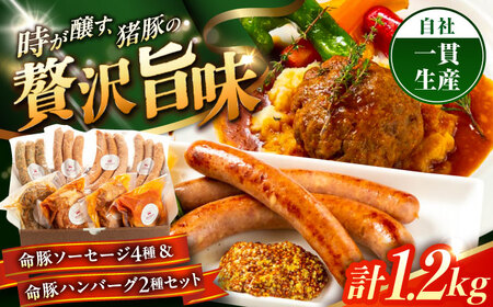 ソーセージ ハンバーグ 『命豚ソーセージ4種＆命豚ハンバーグ2種セット』  BCAR002 豚肉