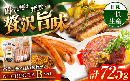ステーキ ソーセージ 『NUCHIBUTA Bセット』 豚肉 ポークステーキ ソーセージ 詰め合わせ  BCAR004 豚肉