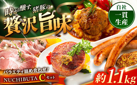 『NUCHIBUTA Cセット』 豚肉 ポーク ステーキ ハンバーグ ソーセージ ベーコン ハム 詰め合わせ  BCAR005 