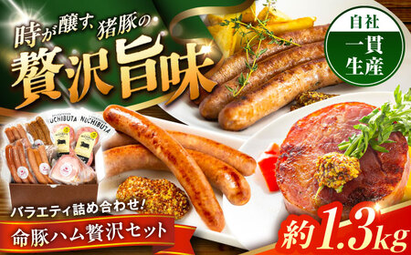 『ハム贅沢セット』 豚肉 ポーク ステーキ ソーセージ ハム 詰め合わせ  BCAR007 豚肉