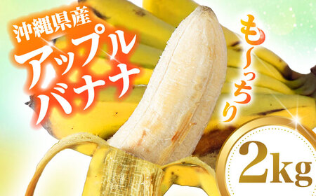 【2026年発送】沖縄県産 アップルバナナ 2kg  BCBH001