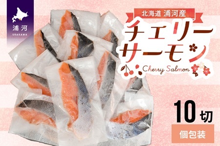 【訳アリ】北海道日高産 天然「チェリーサーモン」切身10切(個包装)[15-1469]