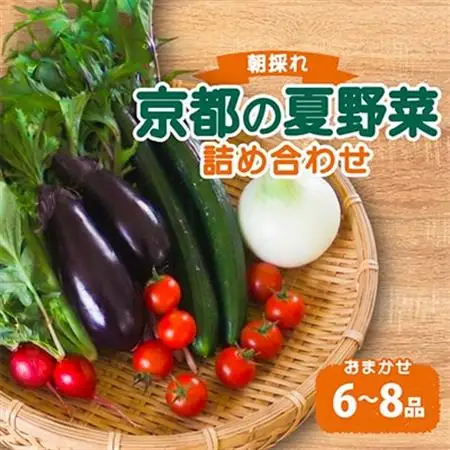 夏野菜 6～8種 セット　京都府久御山町【配送不可地域：離島】【1623427】