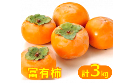 富有柿（ふゆうかき）3kg【11月上旬頃から順次発送】