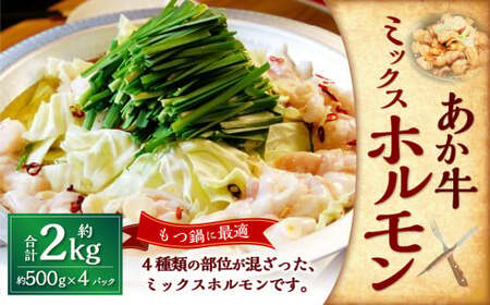 熊本和牛あか牛ホルモン約2kg（約500g×4） あか牛 牛肉 ホルモン 肉 熊本産 国産牛 和牛