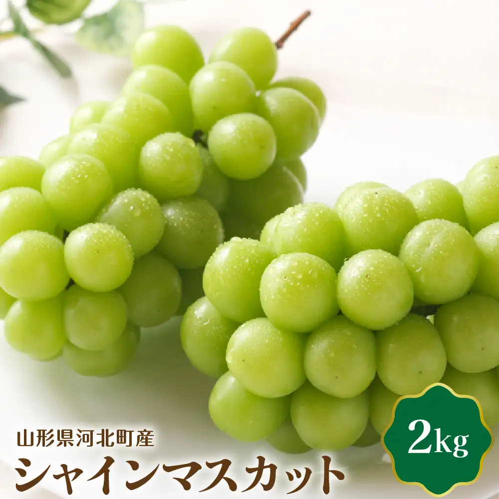 ぶどう シャインマスカット 2kg 2-4房 令和8年産 山形 ぶどう
