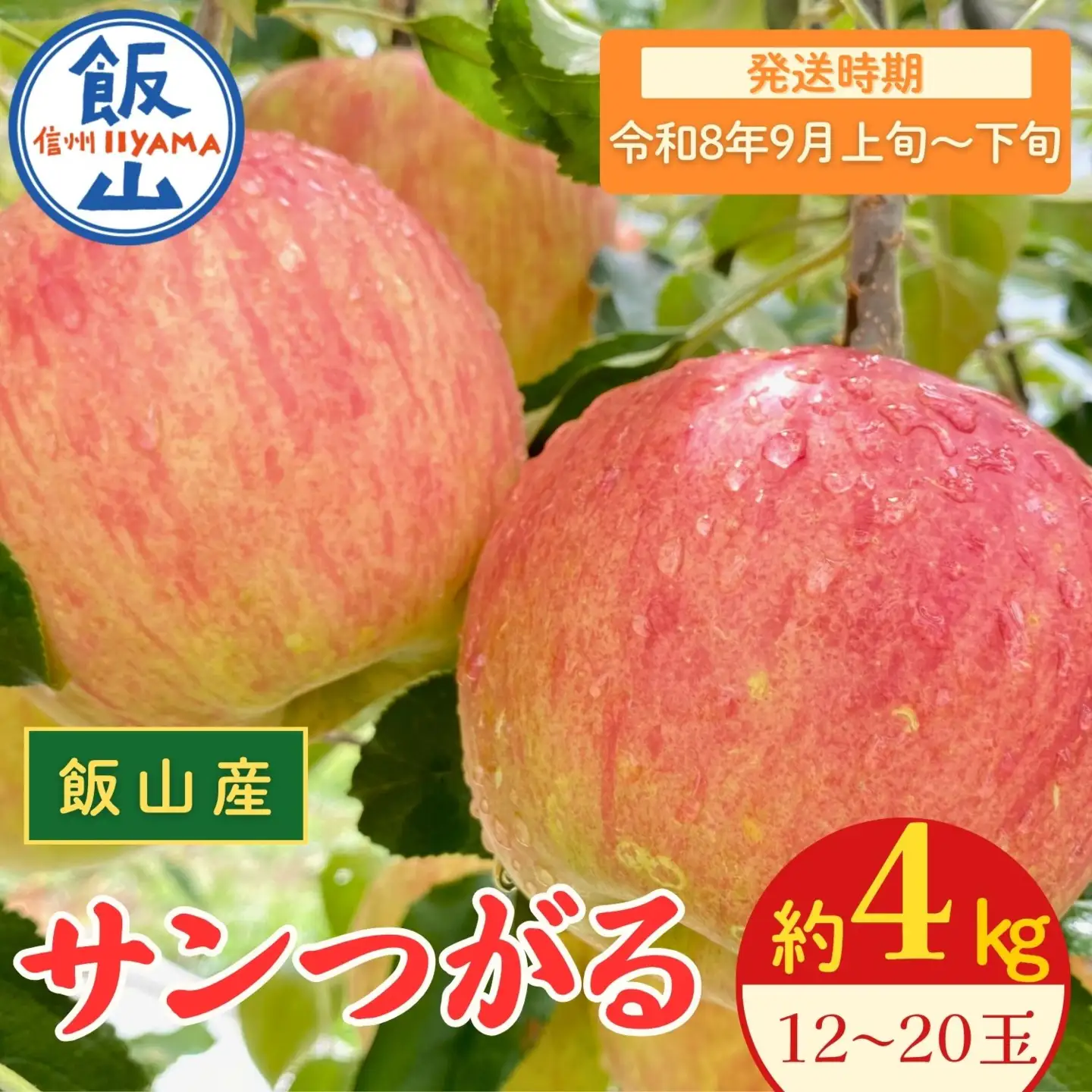 【先行予約丨2026年9月上旬より順次発送】サンつがる【約4kg(12〜20玉)】(At-004)丨長野県 飯山市 おすすめ ランキング おいしい 高評価 大人気 先取り 産地直送 りんご
