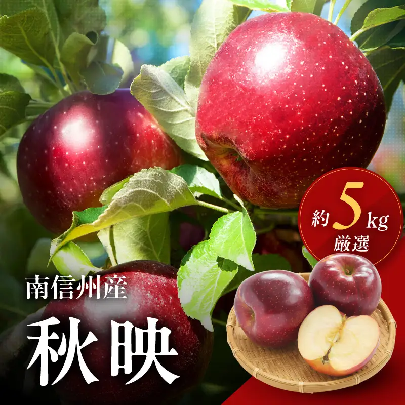 長野県産 りんご 秋映 約5kg 【2026年9月下旬～発送】