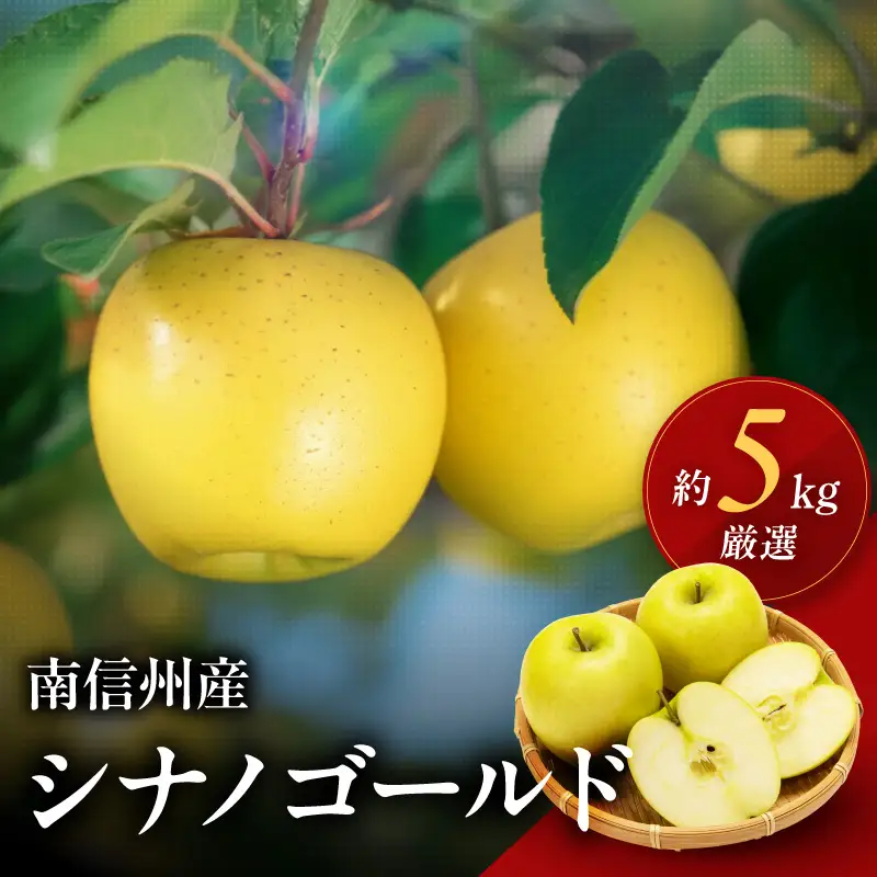 南信州産 りんご シナノゴールド 約5kg 【2026年10月中旬～発送】