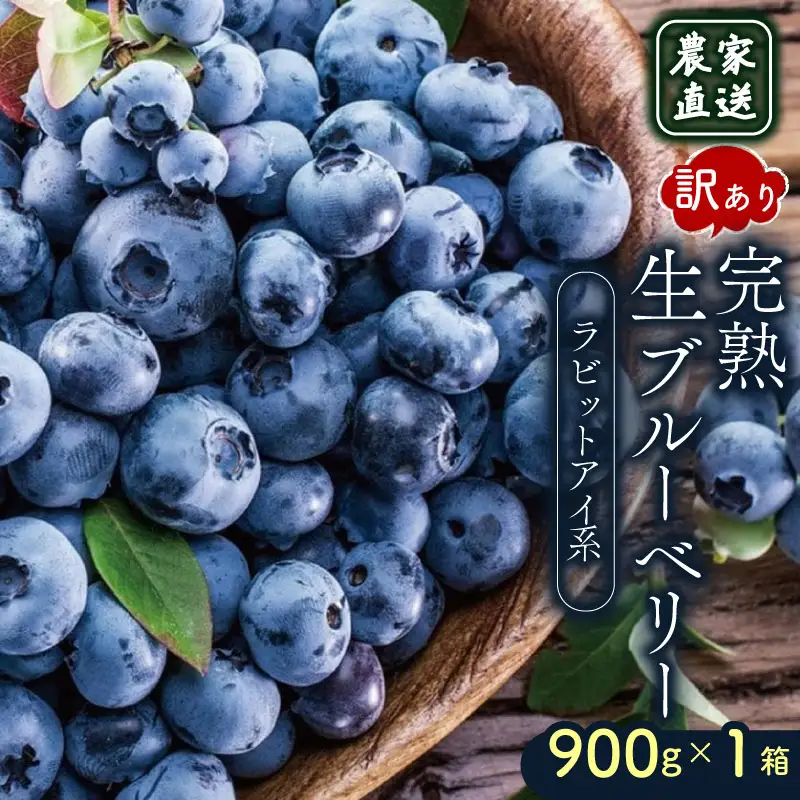【先行予約】訳あり完熟生ブルーベリー ラビットアイ系 900g (2026年7月～発送) | フルーツ 果物 ベリー