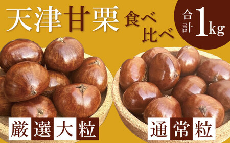 この道50年の職人が焼く、やさしい甘みたっぷりの「厳選大粒と通常サイズ」合計1kg！ 焼きたて 栗 くり 栗爪 殻付き お菓子 おつまみ 人気 高リピート 小分け 栗ご飯 栗きんとん 甘露煮 H045-088