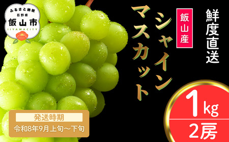 シャインマスカット 約1kg（2房）【2026年9月上旬より発送 先行予約】At-006