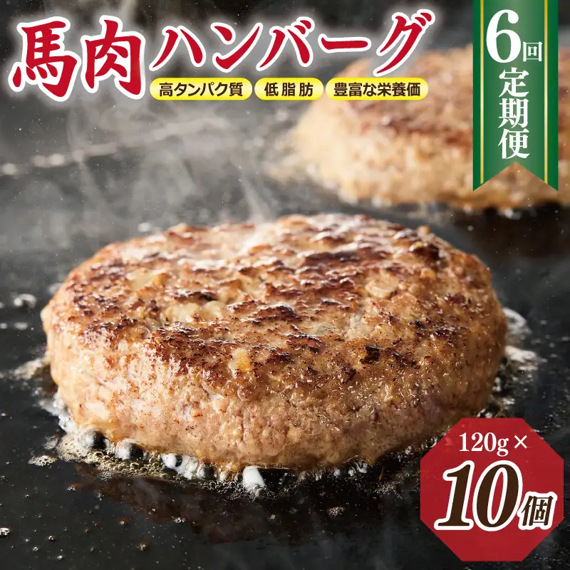 【定期便】 桜文 馬肉ハンバーグ 120ｇ×10個 全6回 【毎月配送コース】