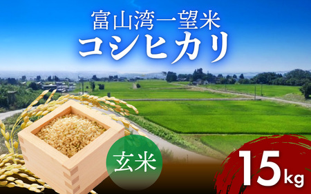 富山湾一望米　コシヒカリ 玄米 【容量15kg】 [D-051001]