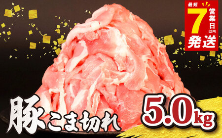 【 豚こま 】 豚肉 豚こま 5kg