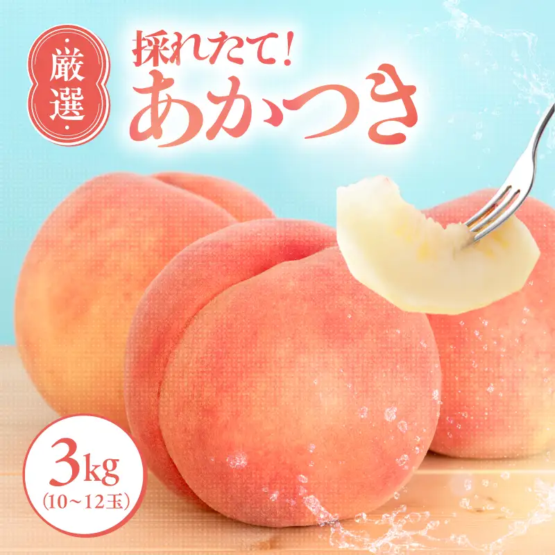 【7月下旬より順次発送】南信州産「桃」あかつき 約3kg 10~12玉｜長野県 飯田市