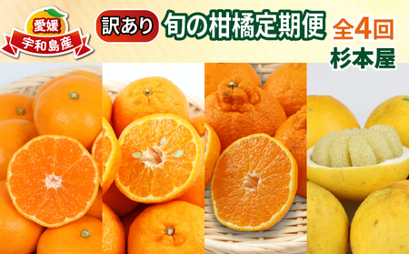 訳あり 旬 の 柑橘定期便 全4回 杉本屋 先行予約 わけあり みかん定期便 完熟みかん 柑橘 みかん ポンカン 不知火 完熟 温州みかん 土佐文旦 文旦 ていきびん mikan 愛媛みかん愛媛ミカン 愛媛蜜柑 早生温州 温州 甘い 果物 フルーツ 柑橘 蜜柑 産地直送 数量限定 国産 愛媛 宇和島 B040-143024