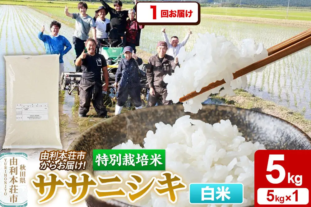 【白米】特別栽培米 ササニシキ 5kg（5kg×1袋）令和7年産