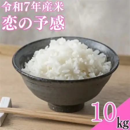 【令和7年産米】恋の予感10kg【1623584】