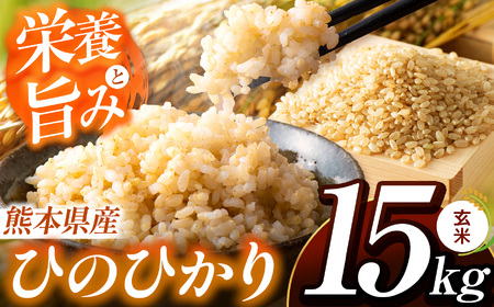 こだわり栽培 熊本県産 ひのひかり 玄米 約 15kg | お米 米 こめ コメ おこめ 熊本県 玉名市
