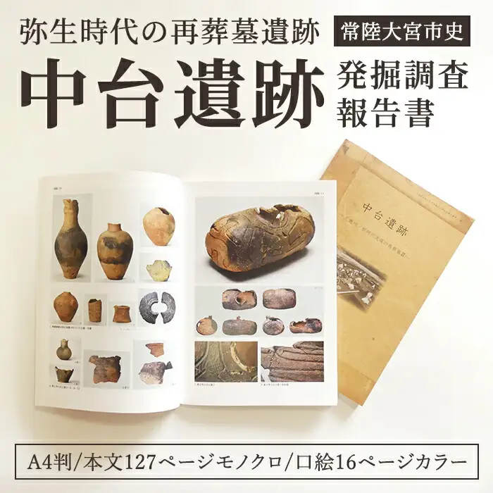 中台遺跡 発掘 調査 報告書 遺物 遺跡 土器 古墳 歴史 資料 日本史 茨城県 【常陸大宮市教育委員会事務局文化スポーツ課】【ho1498】