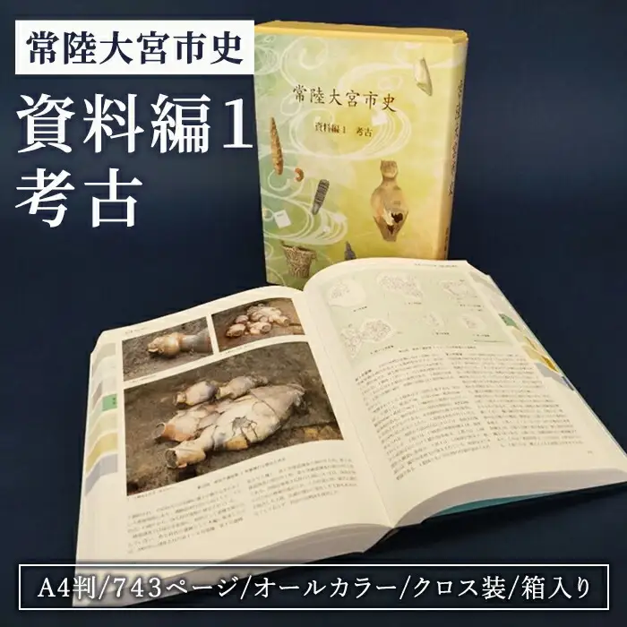常陸大宮市史　資料編１　考古 研究 調査 資料 歴史 日本史 オールカラー 茨城県 常陸大宮市 【常陸大宮市教育委員会事務局文化スポーツ課】【ho1500】