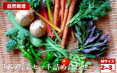 自然栽培 旬の野菜セット 詰め合わせ Mサイズ 2～3人分 くわのみ農園