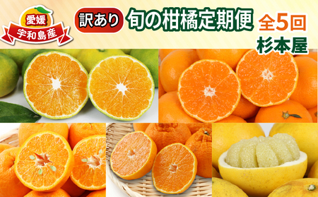 【訳あり 柑橘定期便】 全5回 杉本屋 柑橘定期便 B050-143025