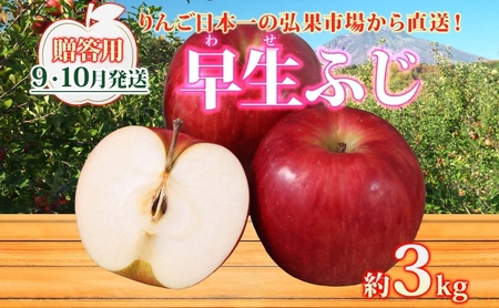 りんご 【9月・10月発送】贈答用 早生ふじ 約3kg　リンゴ 林檎 青森りんご 糖度 13度 甘い 酸味 デザート フルーツ 果物 お取り寄せ 産地直送 旬 季節限定 弘果物流 青森県 西目屋村 西目屋村産
