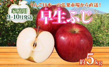 りんご 【9月・10月発送】家庭用 早生ふじ 約5kg　リンゴ 林檎 青森りんご 糖度 13度 甘い 酸味 デザート フルーツ 果物 お取り寄せ 産地直送 旬 季節限定 弘果物流 青森県 西目屋村 西目屋村産