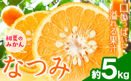 ＜先行予約＞初夏のみかん なつみ 約 5kg 株式会社 魚鶴商店 みかん 蜜柑