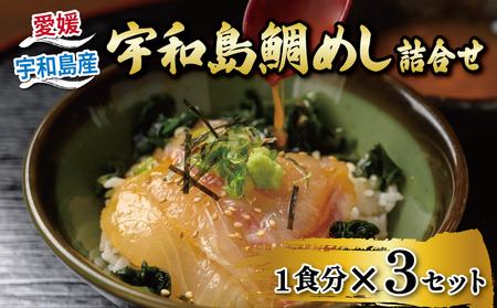 海鮮丼 鯛めし 3食 辻水産 海鮮丼 D010-062006
