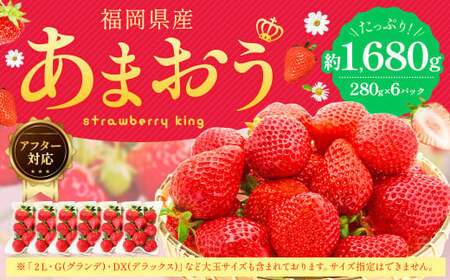 【アフター対応】あまおう 約280g×6パック 【2027年1月上旬～3月下旬発送予定】 苺 イチゴ いちご 果物 フルーツ福岡県 遠賀町