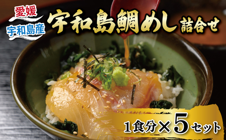 海鮮丼 鯛めし 5食 辻水産 海鮮丼 D014-062007