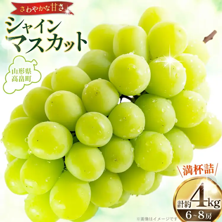 【期間限定発送】 シャインマスカット 6?8房 満杯詰め 約4kg [本田農園 山形県 高畠 tk06ays820005] 