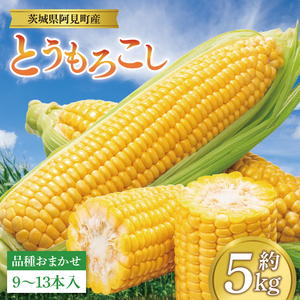 とうもろこし 9本～13本入り（約5kg）朝採れ 高糖度 甘い コーン 夏限定 旬 野菜 新鮮 人気 産地直送 お取り寄せ 茨城県 阿見町【先行予約｜2026年6月中旬より配送】（76-06）