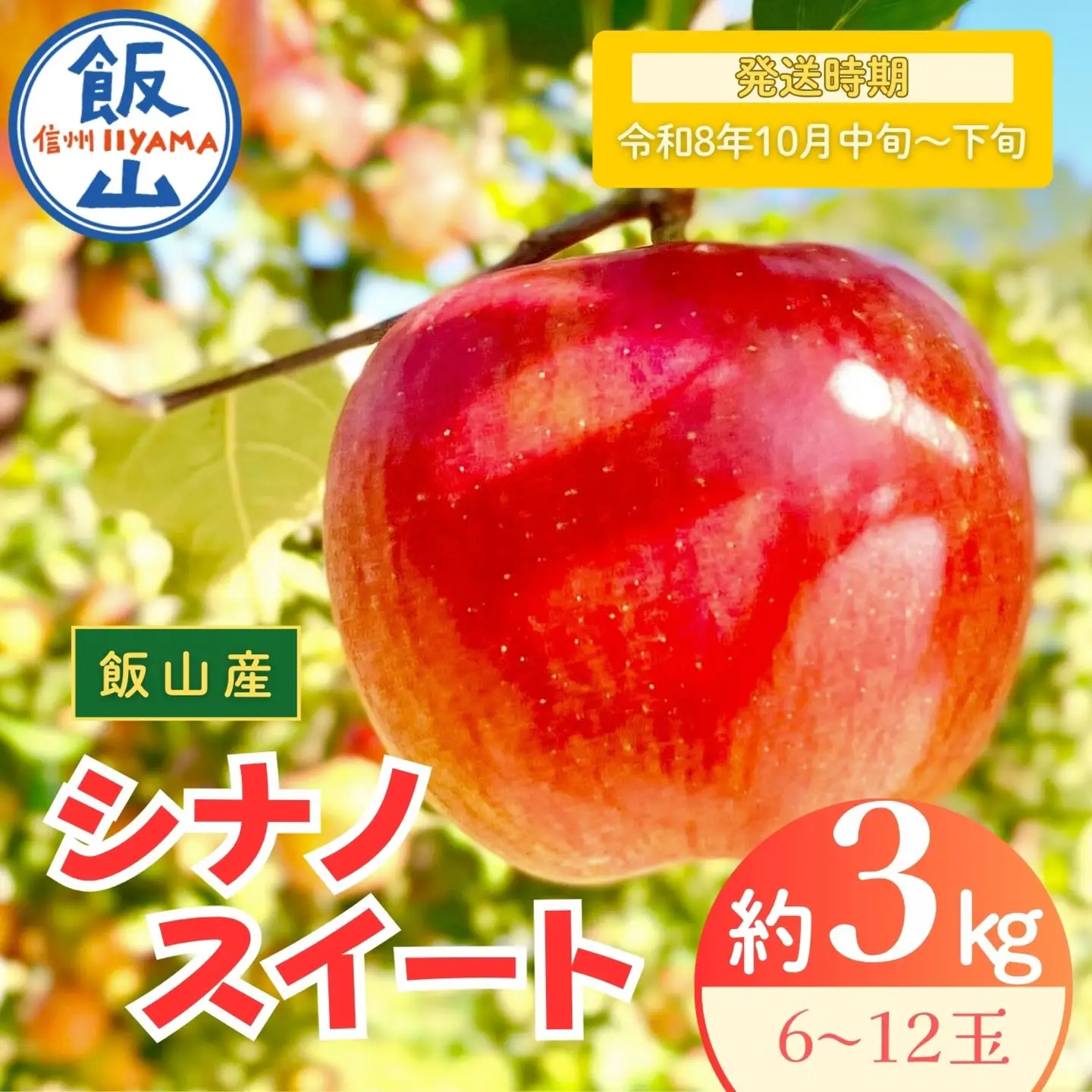 【シナノスイート】りんご  約3kg（6～12玉）2026年10月中旬より発送 先行予約 | リンゴ At-011
