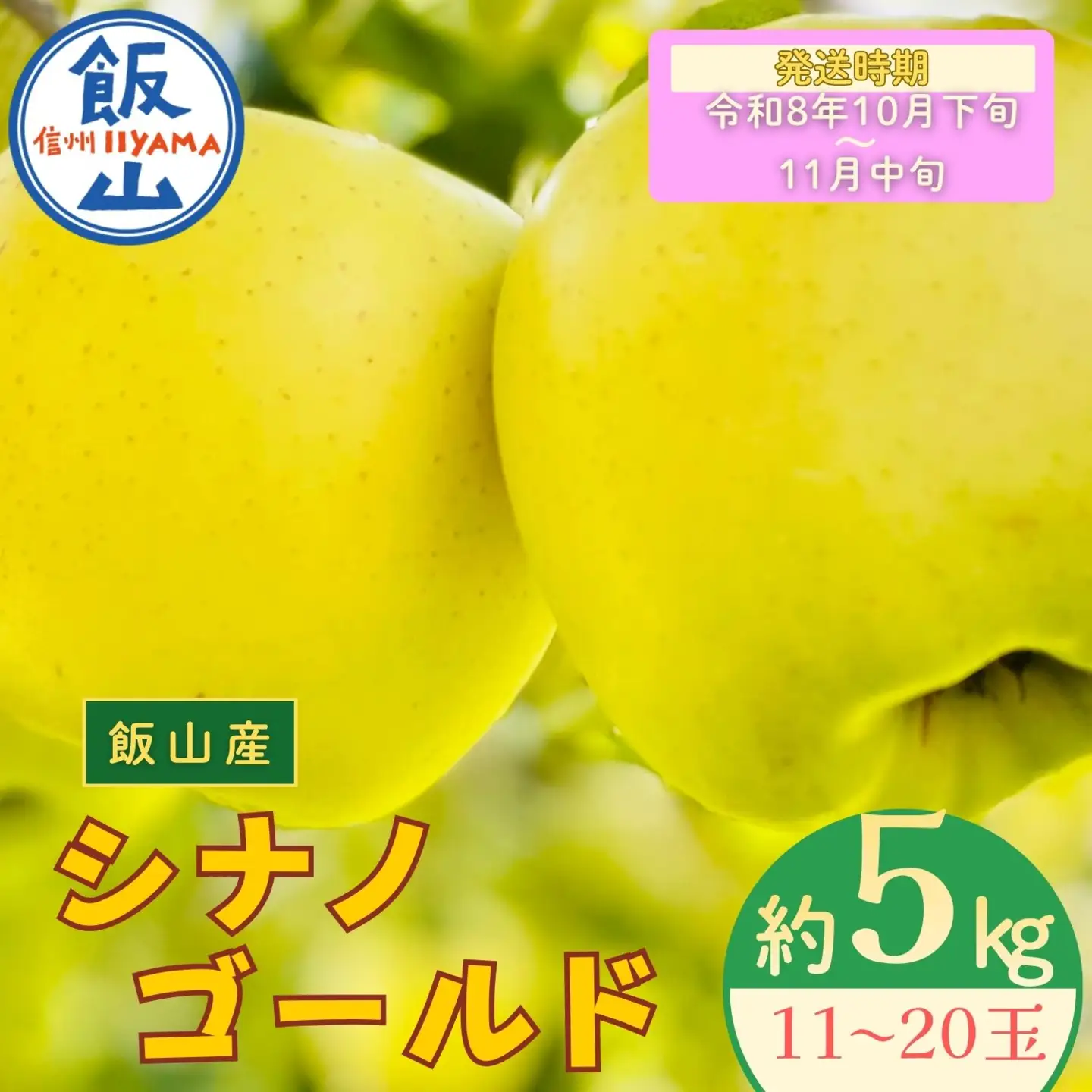 りんご シナノゴールド 約5kg（11～20玉）【2026年10月下旬より発送 先行予約】At-015