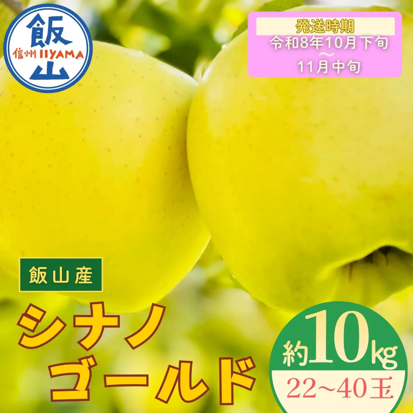 りんご シナノゴールド 約10kg（22～40玉）【2026年10月下旬より発送 先行予約】At-016