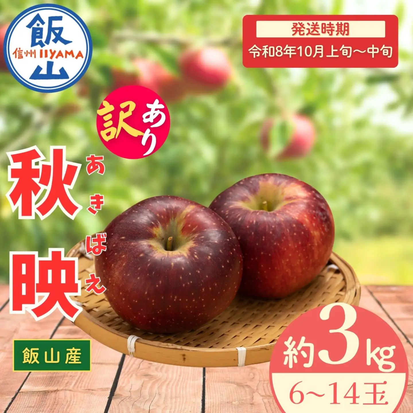 【訳あり】りんご 秋映 約3kg（6～14玉）リンゴ At-017