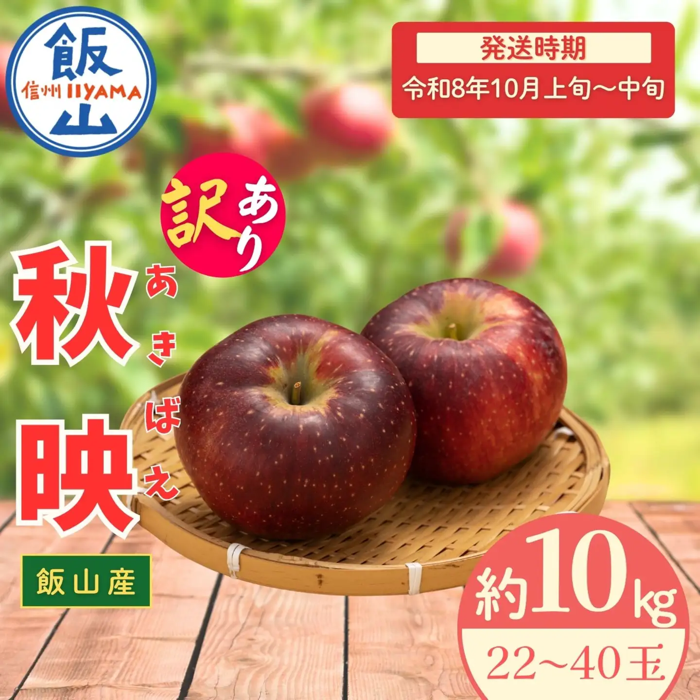 【訳あり】りんご 秋映 約10kg（22～40玉）2026年10月上旬より発送 先行予約 | リンゴ At-019