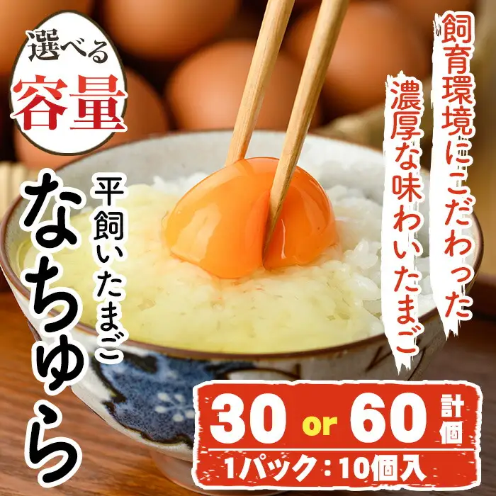 平飼い卵 なちゅら(計30個・10個×3P) 卵 玉子 鶏卵 卵かけご飯 玉子焼き【108800400】【カジワラファーム】